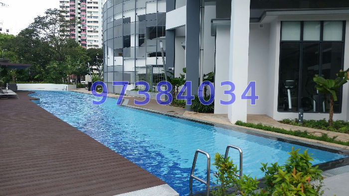 Cityscape @ Farrer Park (D8), Condominium #250241531